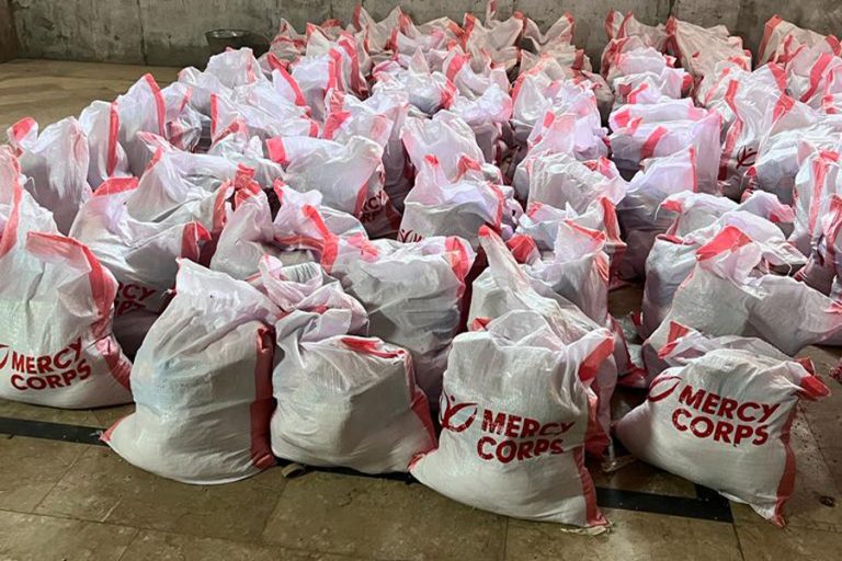 Aryians International