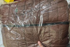 Aryians International